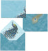 Set, Set 10 (45026) Punch Studio Boxed Thank You Card of Cards/Envelopes, Peacock Design