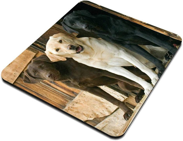 Funny Mouse Pad - Animals Dogs Chocolate Yellow Black Labs, Office Desk Accessories, Dog Mousepad, Desk Decor, Presents