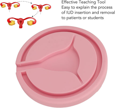Uxsiya Female Intrauterine Contraceptive Device, Multipurpose Y Shape Inside IUD Training Model Portable Case
