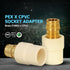 Midline Valve CSDQFG012-OM 1/2'' Expansion PEX x CPVC Adapter Pipe Fitting lead-free Brass, Single by Midline Valve