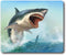 White Shark Non-Slip Rubber Mouse Pad for Computer Gaming