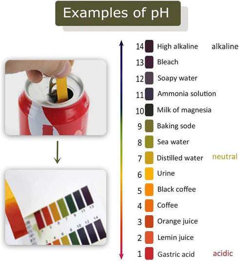3 Pack pH.1-14 Test Paper - Extensive Litmus Test Paper, 240 Strips with Storage Case for Water, Soil Testing