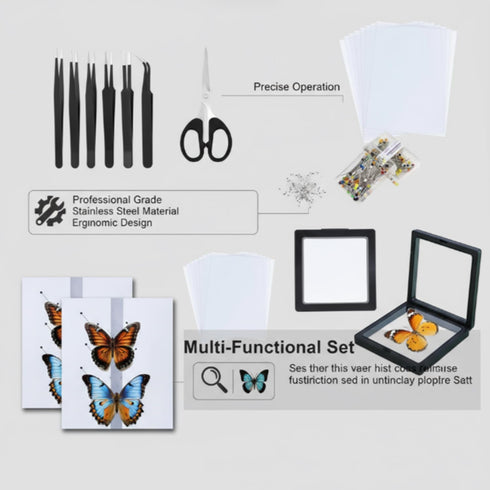 Dddzerong (5in Butterfly Specimen Kit Includes pins, mounting Board, Spreading Tools, Display case, Labels, Forceps
