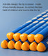 Triangular Fat Pencil - 12 Pack Jumbo Wood Pencils for Writing & Drawing, Thick HB with Eraser & Sharpener