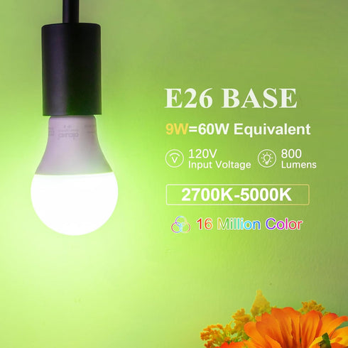 Bulbs, Bulb Dimmable, A19 E26 9W 800LM 2.4Ghz 2 Pack DiCUNO Smart Light Wi-Fi Bluetooth LED Lights, Multi Colors