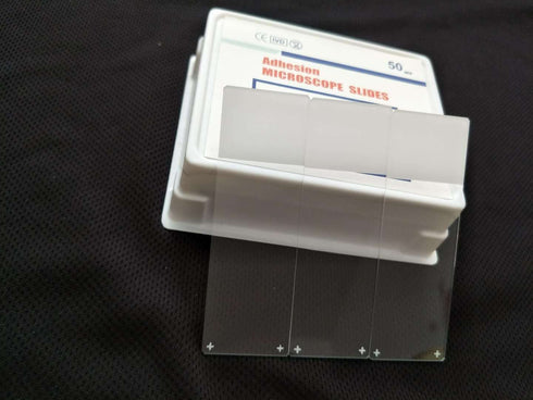 50 pcs Positively Charged Adhesion Microscope Slide with 45° Corners and Ground Edges