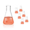 Conical Flask Set, 150mL Glass Erlenmeyer Flasks, Narrow Mouth, 3.3 Borosilicate Glass (case of 6)