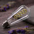 Dimmable Vintage LED Edison Bulbs, 6W Equivalent 60W, 600lm Daylight 5000K ST58 Antique E26 Clear Glass