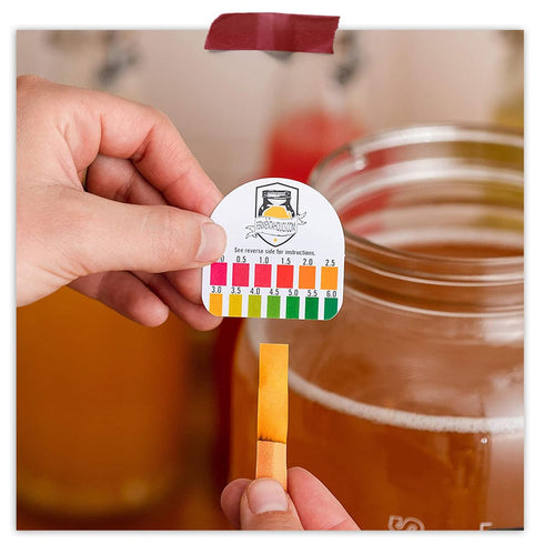 Kombucha Instant Read pH Strips Dispenser - 180 1" Inch Strips, 15 ft Roll, pH Range 0-6 for Brewing