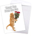 NobleWorks Jumbo Thank You Greeting Card - Cat Design, 8.5 x 11 Inch with Envelope (1 Pack)