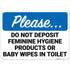 Please Do Not Deposit Feminine Hygiene Products Or Baby Wipes in Toilet
