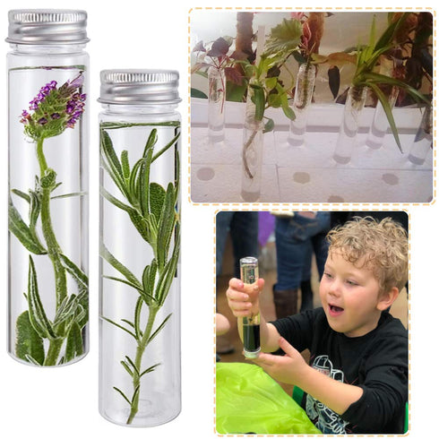 18 Pack 115ml Clear Plastic Test Tubes with Screw Caps, Flat-Bottomed Bath Salt Containers for Candy, Wedding Décor