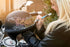 Window Markers for Glass, Washable Car Window Paint Pen for All Surfaces, Yellow Fine Tip
