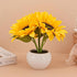 Naimo Sunflower Night Light Rechargeable LED Night Lamp Flower Table Lamp for Bedroom Living Room Birthday Party