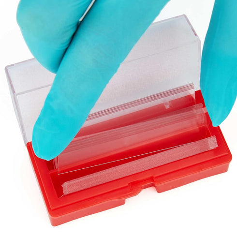 Globe Scientific Cover Glass 1419-10, 24 x 60mm, No. 1 Thickness, Case of 10