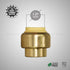 Supply Giant VQTF1-5 Plug End Cap Pipe Fitting - Push to Connect PEX, Copper, CPVC, 1 Inch, Brass Pack of 5