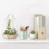 WAVEYU Pen Pencil Holder, Cactus, Multi-Purpose Desk Organizer for Girls Boys Kids, Durable Ceramic Makeup Brush Holder