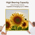 152Pcs Picture Hanging Kit - Heavy Duty Hooks with Nails for Pictures, Paintings, Mirrors, Wall Art Mounting
