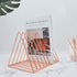 9 Pack 2 EASEPRES Slot Magazine Rack Book Record Holder, Desktop Iron Storage Rack Bookshelf Multifunction Triangle