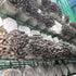 Synthetic Filter Paper Stickers, 20 mm, 0.3 µm Monotub Filter Discs for Mycology - 90 Count for Fruiting Chamber