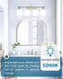 Bulbs, 100 A19, 5000K Bulb, 15W Lightbulbs E26 1500 Dimmable 6 Pack TJOY LED Light Watt Equivalent Daylight LED Bright