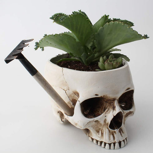 Mikayoo Skull Pen Holder - Skull Makeup Brush Holder and Storage Box for Office Desk, Green Plant Flower Pot