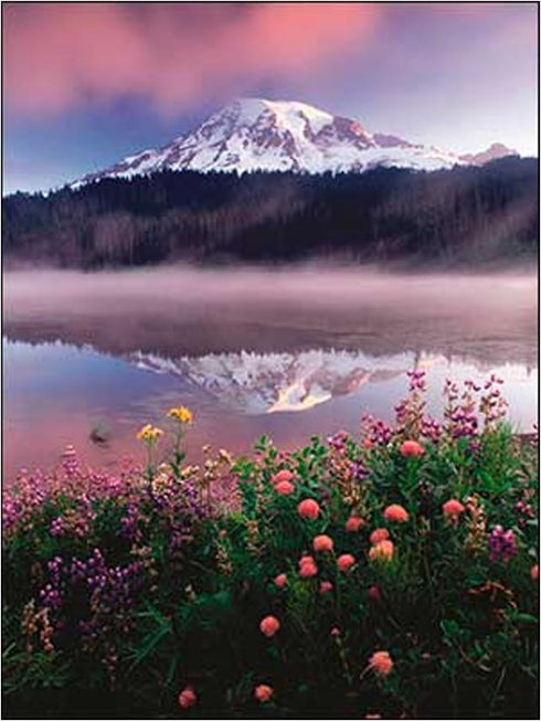 Blank Cards and Envelopes Set, Leanin' Tree, 5x7, 20 Note Cards with Stunning Pacific Northwest Photos