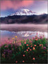 Blank Cards and Envelopes Set, Leanin' Tree, 5x7, 20 Note Cards with Stunning Pacific Northwest Photos