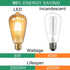 DiCUNO E26 Edison Bulbs, 60W, 2200K Amber Warm, 6W LED ST64, Vintage Filament, 600LM, Non-Dimmable, Pack of 2