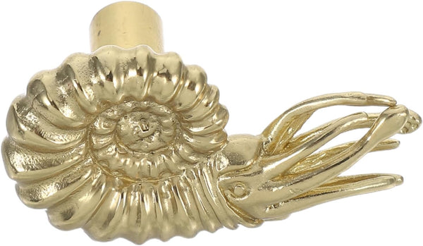 MAGICLULU Vintage Brass Nautilus Shape Drawer Pull Solid Brass Cabinet Handle for