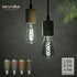 ST19 LED Smoky Grey Glass Edison Bulb, Vintage, 6 Pack, Daylight 5000K, E26 Base, 4.5W Equivalent to 40W