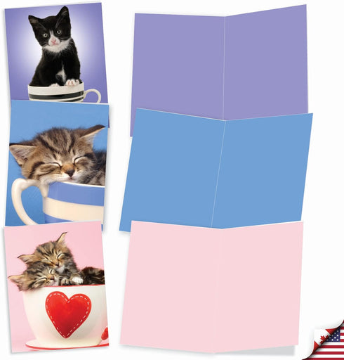 The Best Card Company 10 Adorable Blank Cat Cards (4 x 5.12 Inch) - Cute Kittens Assorted Bulk Notecard Set - Cup-Cats
