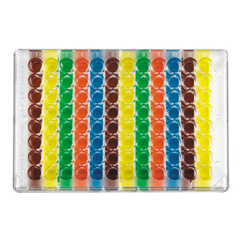 Diversified Biotech WELL-96V Multi Colored Well Orienter, 96 Well, Vertical, Pack of 2