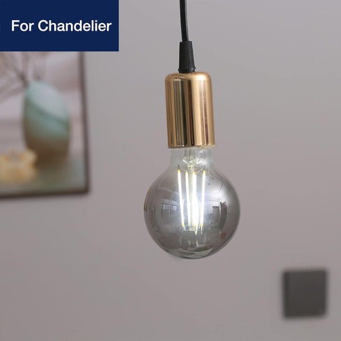 FLSNT Globe LED Edison Bulbs, 5000K Daylight G25 LED Light Bulbs, 4W(40W Equivalent), E26 Base, 300LM, CRI82+, Smoky Grey Glass, 6 Pack by FLSNT