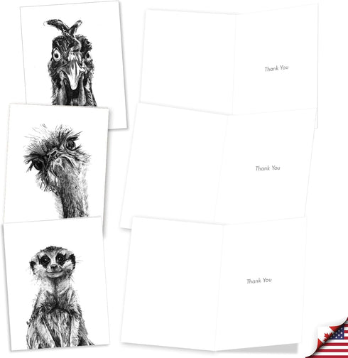 The Best Card Company - 10 Boxed Thank You Cards w/Envelopes - Animal Appreciation Stationery Set for Men Women Kids