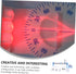 1set Alipis Optics Learning Experiment Kit Safe and Portable Physics Tools for Light Experiments Includes Optical