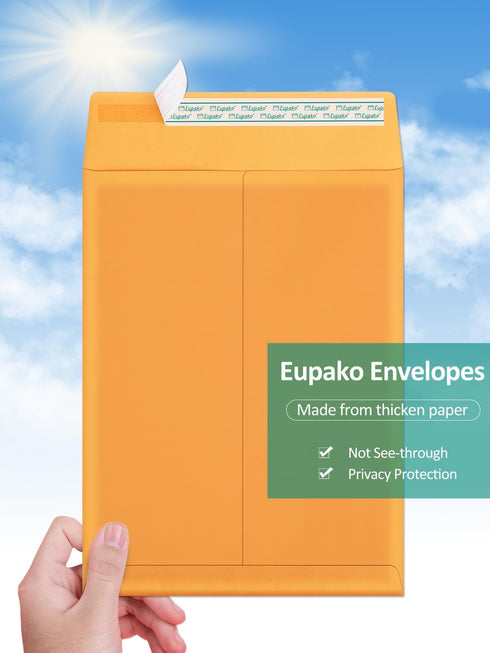 Eupako 9x12 Catalog Mailing Envelopes, Brown Self Seal, 250 Pack for Organizing and Storage