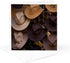 New Mexico, Santa Fe, Plaza, Cowboy Hats on Display - Greeting Card,