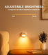 Dimmable 3 Pack Lyridz Rechargeable Battery Night Light with Motion Sensor, Amber Nightlights for Bathroom, Bedroom