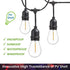 Jslinter 30-Pack LED String Light Bulbs Replacement, 1W E26 Vintage Bulbs, 2200K Warm White, Indoor/Outdoor