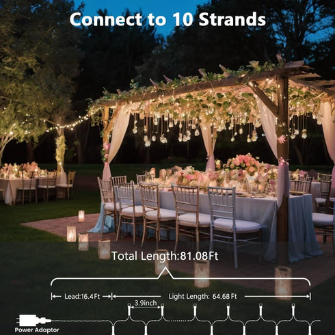 81Ft 200 8 Warm White Twinkle Lights, LED Twinkle Christmas Lights, UL Certified Plug in Fairy Twinkle Lights Outdoor