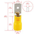 Baomain 1/4" Male Quick Disconnects - Vinyl Insulated Spade Wire Connector Electrical Crimp Terminal 12-10 AWG (Pack of