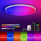 Smart LED Ceiling Light WiFi, 12inch RGB Flush Mount Ceiling Light Fixture,