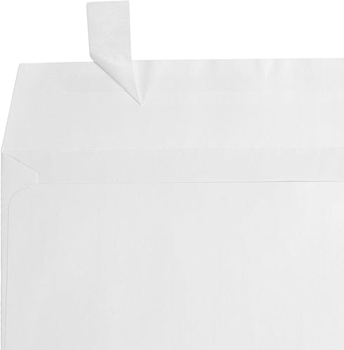 LUXPaper #10 Business Window Envelopes, Return Service Requested, Peel & Press, 50 Qty