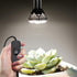 8.2Ft E26/E27 Bulb Socket,4 Pack Plug in Light Socket - Pendant Hanging Lantern Cord - Lamp Cord with Switch Extension