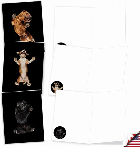 The Best Card Company, 20 Boxed Dog Cards with Envelopes, Blank Assortment (10 Designs)