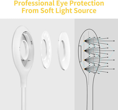 Clip on Light for Bed & Desk, Flexible Gooseneck, Battery Operated Rechargeable Clamp Lamp for Reading in Bed