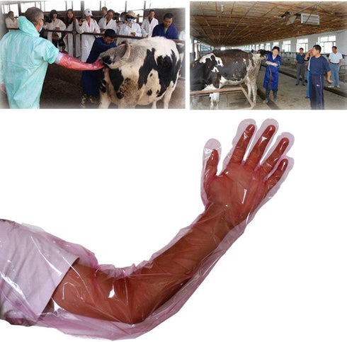 50Pcs Disposable Soft Plastic Film Gloves, Full Arm Livestock Gloves 35.5inch for Field Dressing & Insemination