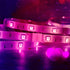 DAYBETTER 20 4 10mm 5050 Pcs Pin Led Light Connectors, Wide Led Connectors Unwired Gapless Solderless Adapter Clips