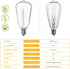ST38 LED String Light Bulbs, 1W Equivalent to 7W Incandescent, Shatterproof E12 Base, Warm White, 25 Pack